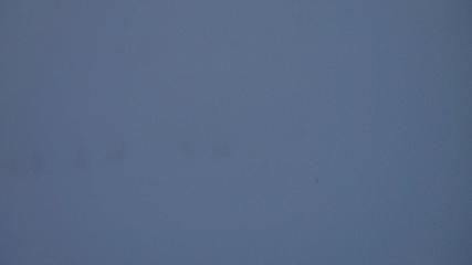 Flumserberg: Prodalp (Flumserberg.ch)