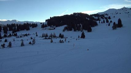 Flumserberg: Prodalp (Flumserberg.ch)