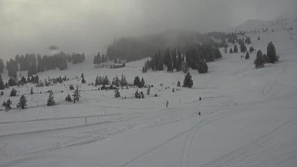 Flumserberg: Prodalp (Flumserberg.ch)