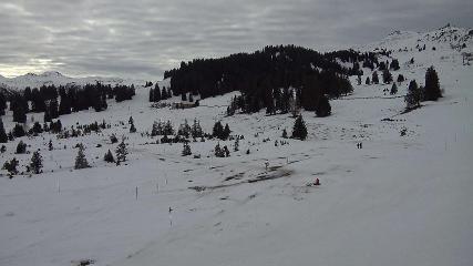 Flumserberg: Prodalp (Flumserberg.ch)