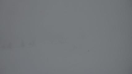 Flumserberg: Prodalp (Flumserberg.ch)