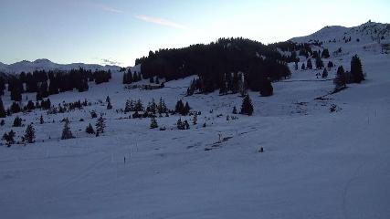 Flumserberg: Prodalp (Flumserberg.ch)