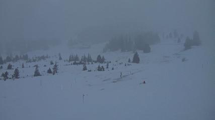 Flumserberg: Prodalp (Flumserberg.ch)