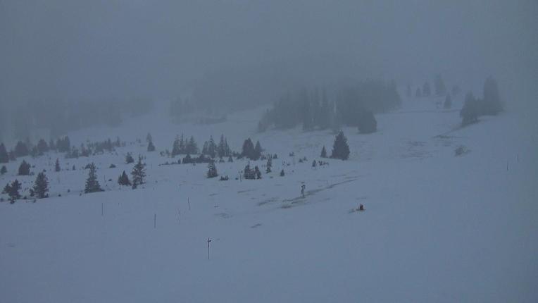 Webcam Flumserberg: Prodalp