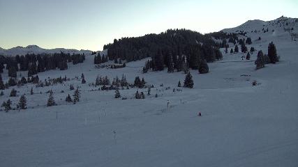 Flumserberg: Prodalp (Flumserberg.ch)