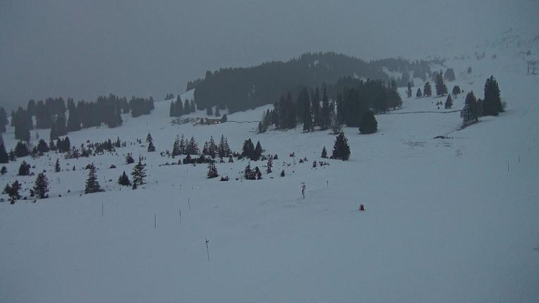 Webcam Flumserberg: Prodalp