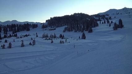 Flumserberg: Prodalp (Flumserberg.ch)