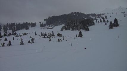 Flumserberg: Prodalp (Flumserberg.ch)