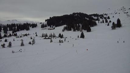 Flumserberg: Prodalp (Flumserberg.ch)