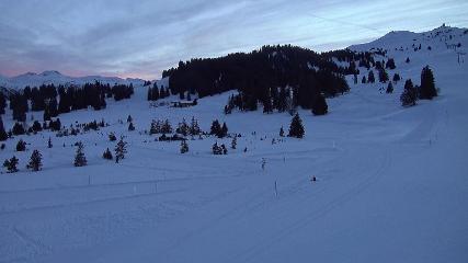 Flumserberg: Prodalp (Flumserberg.ch)