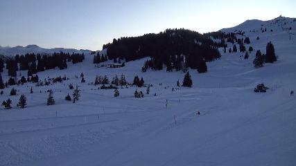 Flumserberg: Prodalp (Flumserberg.ch)