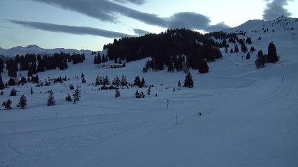 Flumserberg: Prodalp (Flumserberg.ch)