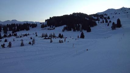 Flumserberg: Prodalp (Flumserberg.ch)