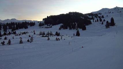 Flumserberg: Prodalp (Flumserberg.ch)