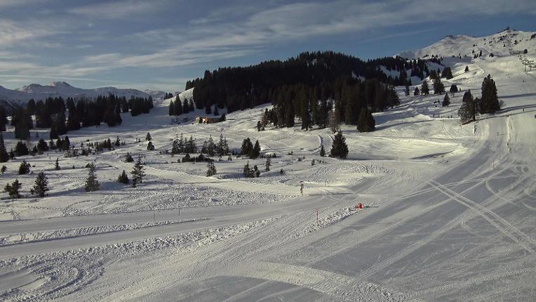 Webcam Flumserberg: Prodalp