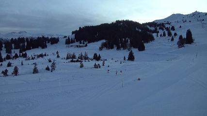 Flumserberg: Prodalp (Flumserberg.ch)