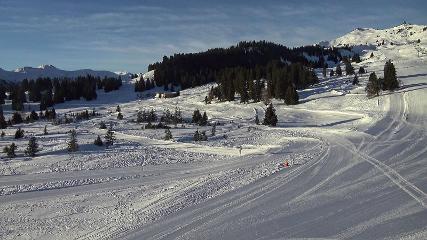 Flumserberg: Prodalp (Flumserberg.ch)