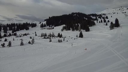 Flumserberg: Prodalp (Flumserberg.ch)