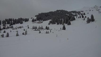 Flumserberg: Prodalp (Flumserberg.ch)