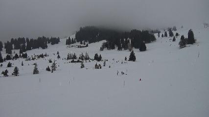 Flumserberg: Prodalp (Flumserberg.ch)