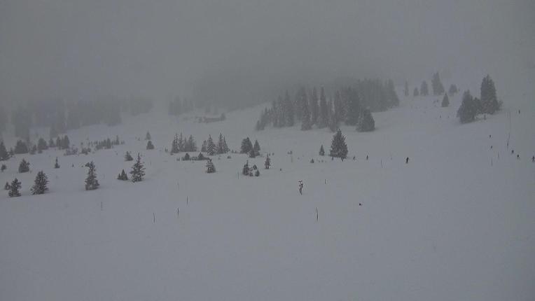 Webcam Flumserberg: Prodalp