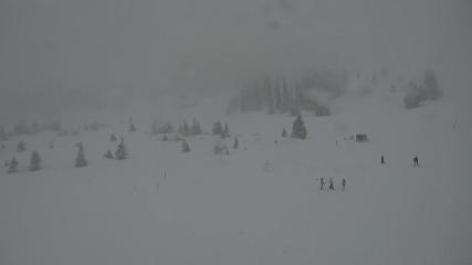 Flumserberg: Prodalp (Flumserberg.ch)