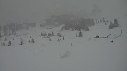 Flumserberg: Prodalp (Flumserberg.ch)