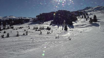 Flumserberg: Prodalp (Flumserberg.ch)