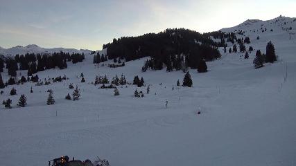 Flumserberg: Prodalp (Flumserberg.ch)