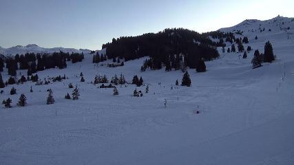 Flumserberg: Prodalp (Flumserberg.ch)