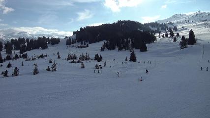 Flumserberg: Prodalp (Flumserberg.ch)