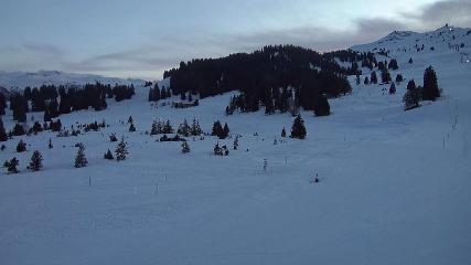 Flumserberg: Prodalp (Flumserberg.ch)