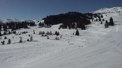 Flumserberg: Prodalp (Flumserberg.ch)