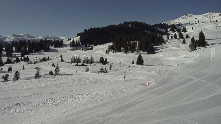Webcam Flumserberg: Prodalp