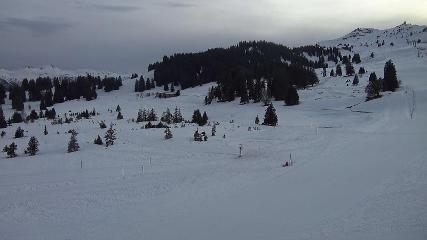 Flumserberg: Prodalp (Flumserberg.ch)