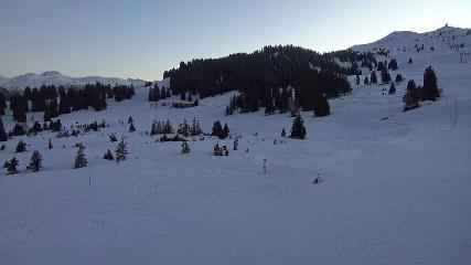 Flumserberg: Prodalp (Flumserberg.ch)