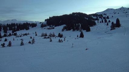 Flumserberg: Prodalp (Flumserberg.ch)