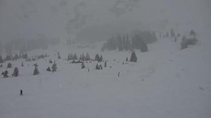 Flumserberg: Prodalp (Flumserberg.ch)