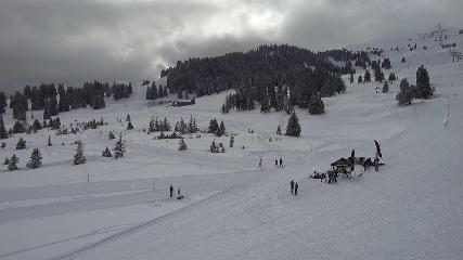 Flumserberg: Prodalp (Flumserberg.ch)