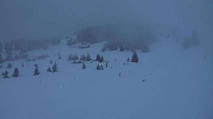 Flumserberg: Prodalp (Flumserberg.ch)