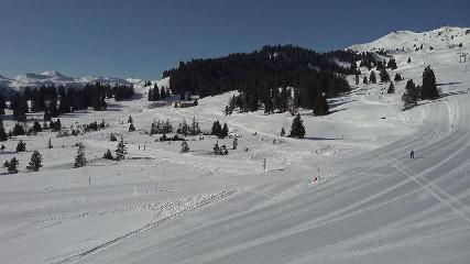 Flumserberg: Prodalp (Flumserberg.ch)