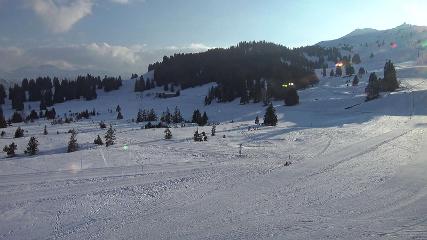 Flumserberg: Prodalp (Flumserberg.ch)