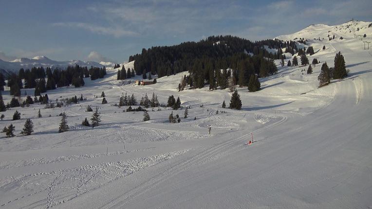 Webcam Flumserberg: Prodalp