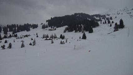 Flumserberg: Prodalp (Flumserberg.ch)