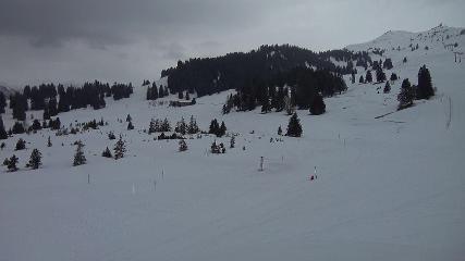 Flumserberg: Prodalp (Flumserberg.ch)