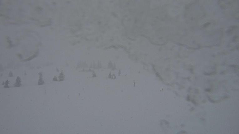 Webcam Flumserberg: Prodalp