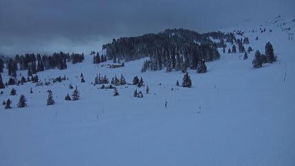 Flumserberg: Prodalp (Flumserberg.ch)