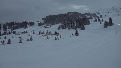 Flumserberg: Prodalp (Flumserberg.ch)