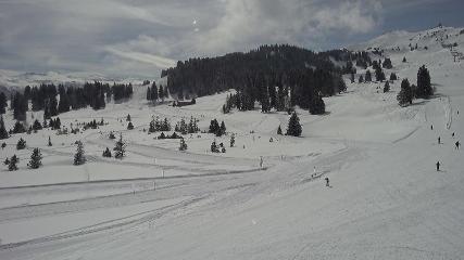 Flumserberg: Prodalp (Flumserberg.ch)