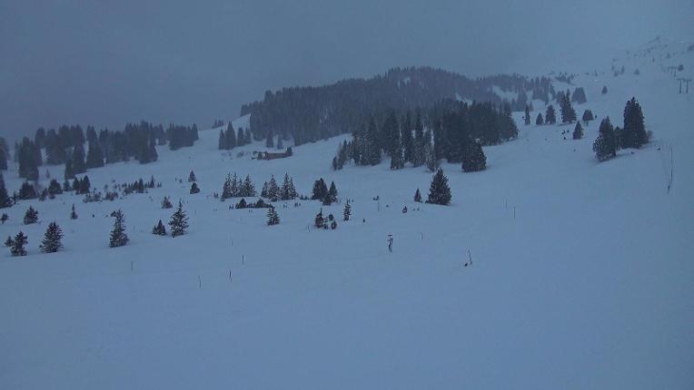 Webcam Flumserberg: Prodalp